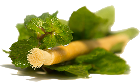 Siwak Miswak with mint flavor