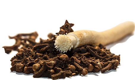 Siwak